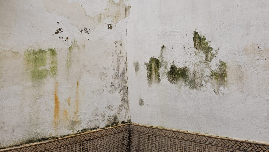 Humedad por capilaridad. Qué es y cómo tratarla para evitar daños estructurales y proteger tu salud.